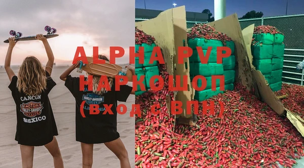 стаф Кинешма
