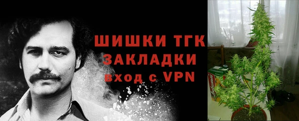 трава Киренск