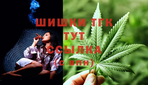 стаф Киреевск