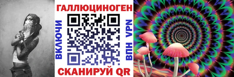 Галлюциногенные грибы GOLDEN TEACHER  Купить закладки  Карасук 