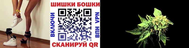 Канабис сатива Карасук