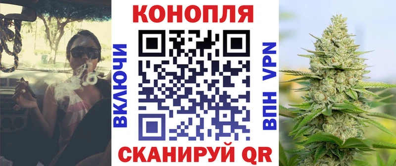 Купить  Карасук  МАРИХУАНА сатива 